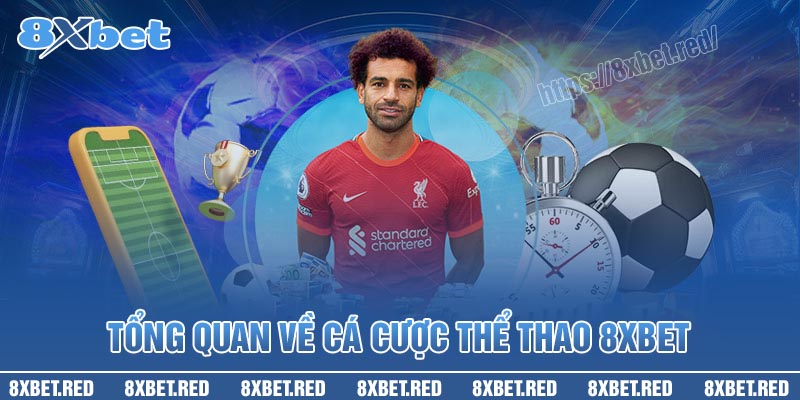 Tổng quan về 8XBet - Nhà cái cá cược thể thao hàng đầu Việt Nam